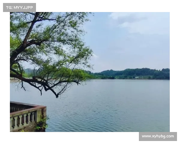 冬日湖畔的静谧与心灵的沉淀 一次内心深处的安宁之旅 冬日湖畔的静谧与心灵的沉淀 一次内心深处的安宁之旅