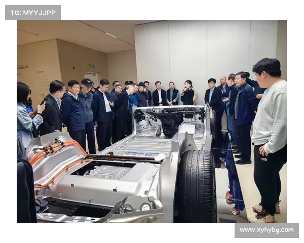 探索Dovetail平台推动用户研究创新与发展的未来路径 探索Dovetail平台推动用户研究创新与发展的未来路径