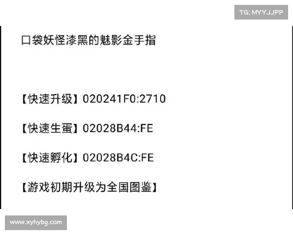 口袋妖怪黑白金手指下载常见问题解答与解决方法大全 口袋妖怪黑白金手指下载常见问题解答与解决方法大全