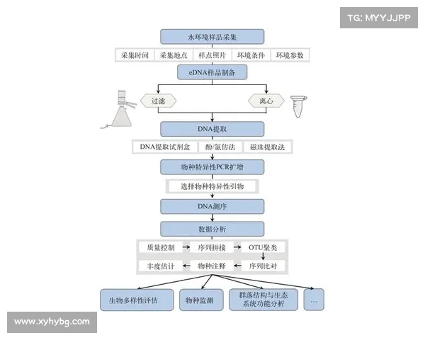 基于DK宏技术的应用研究与实施步骤全面解析 基于DK宏技术的应用研究与实施步骤全面解析