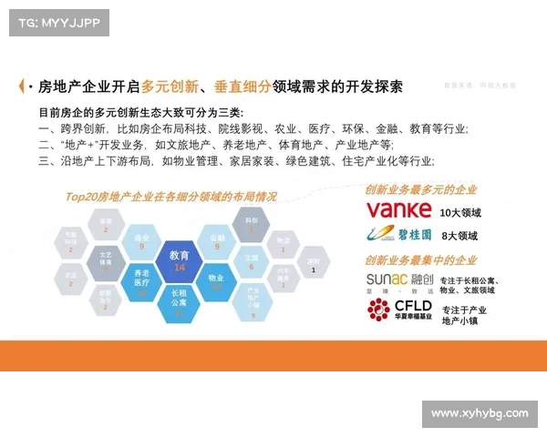 从商业运作到竞技平衡浅析欧洲五大联赛多元化运营模式研究