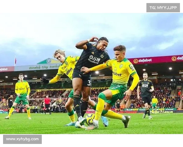 加的夫城足球队联赛历史成就及最新赛季表现全解析