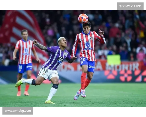 掌握欧冠赛事級別不可不知的五大關鍵資訊全方位深度权威精析指南