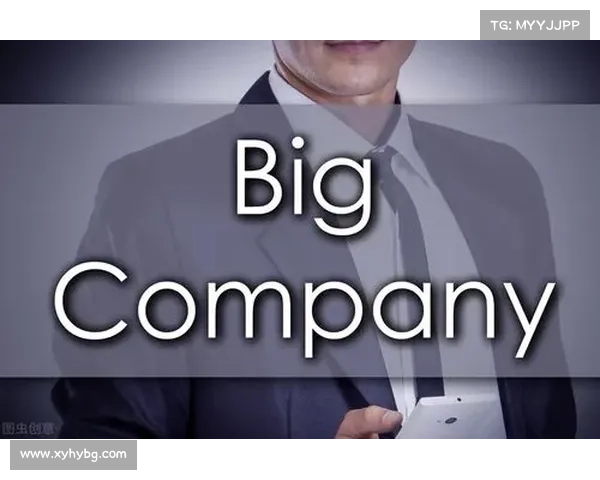 如何全面评估足球俱乐部的财务健康状况及其潜在风险分析